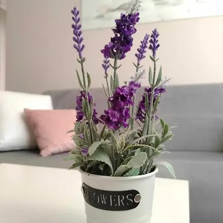 Apartment Dip Pomorie